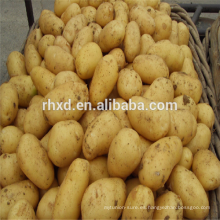 Patata fresca a granel con precios bajos